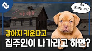 세입자가 강아지(고양이)를 키운다는 이유만으로 집주인은 임대차계약을 해지할 수 있을까? (반려동물 같이 거주, 반려동물 분쟁, 특약사항tip, 고지의무)[ep. 슬기로운 주거생활]