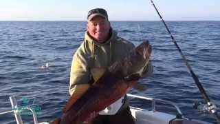 Žvejyba šiaurės Norvegijoje - Fishing in Norway