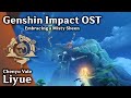 🍵 Chenyu Vale 🧧 - Embracing a Misty Sheen (ft. Lan Yan) [原神 Genshin Impact Music + Exploration]