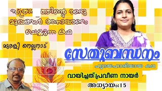 നോവൽ🍁 സേതു ബന്ധനം/ദളം: 15/✍🏻മുരളി നെല്ലനാട്