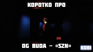 КОРОТКО про альбом OG BUDA -  \