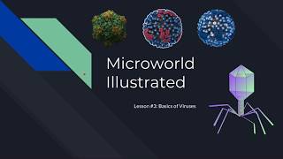 |Microworld Illustrated| Lesson 3: Basics of Viruses