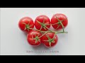 lidl scotland vine ripened tomatoes