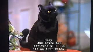 Salem says okay - Sabrina the teenage witch