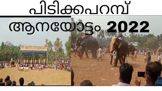 pidikkaparamb aanayottam2022