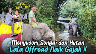 LALA TIDAK TAKUT SAMA SEKALI NAIK GAJAH BERSAMA IBU.. OFFROAD MELEWATI HUTAN DAN SUNGAI !!