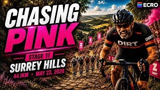 ECRO World Tour Chasing Pink Stage 11 Slot 1 Cat E