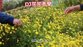 兩個大叔\u0026小鋼砲 - 一口煙一口酒(DJ HEST版).DJ花花音樂🎶