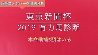 【競馬予想】 東京新聞杯 2019 事前予想 有力馬診断