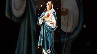 Manjukattupole Whatsapp Status | Mother Mary Status | Christian Devotional Instrumental | Unneesho