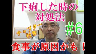 【犬猫下痢】下痢をした、下痢が治らない、下痢をくり返す時の対処法