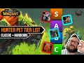 WoW Hardcore Hunter Pet Tier List | WoW Classic