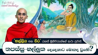 07) තපස්සු - භල්ලුක දෙදෙනාට මොකද වුණේ? |‍ ඒ අමා නිවන් දුටු රහතන් වහන්සේලා (2020-12-22)