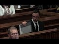 Expert tell court disability made Pistorius feel vulnerable