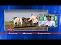 రైతుల కోసం ఏపీ సర్కార్ కొత్త యాప్ hmtv agri