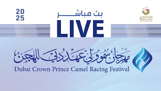 بث مباشر - مهرجان ولي عهد دبي - ثنايا للشيوخ 21-01-2025 مساءً - 13 شوطا - 8 كم