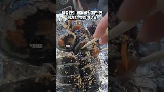 [거제맛집] 백종원의 골목식당 쌤김밥 옆집 만남분식 톳김밥 Korean food / gimbap