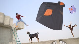 Cutting Colourful Pari Kite Catch Won Bakra 😊