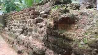 Ruins of Kotte Kingdom (Great Fortress of Kotte)