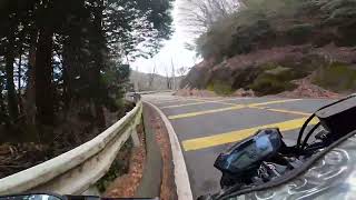 【SV650】るり渓パワーボックス装着