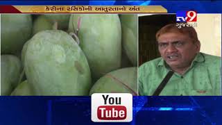 Alphonso mangoes arrive in Junagadh marketing yard - Tv9