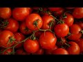 Reducing Post Harvest Loss in Nigeria - the tomatoes case