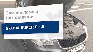 Замена лампы накаливания NEOLUX N499 на Skoda Super B