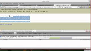 Capturing Hidden Web Requests With Firebug