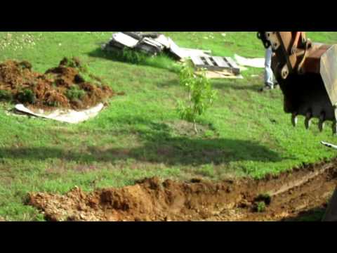 Root Cellar - Part 1 Root Cellar - Part 1