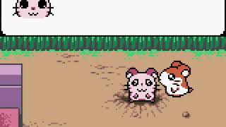 [TAS] GBC Hamtaro: Ham-Hams Unite! by illayaya in 43:02.29