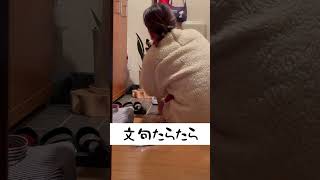 【ちゃちゃ丸】自慢の短足を何度も拭かれ激おこする柴犬 #shorts