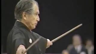 Musashi's Niten Ichi-ryu - Two Swords - Nito Seiho