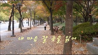 내 마음 갈 곳을 잃어(최백호)-뮤직영상