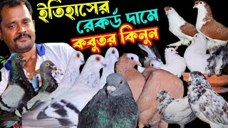 ইতিহাসের রেকর্ড করা কমদামে ৫০% ডিসকাউন্টে ডিম বাচ্চা সহ কবুতর কিনুন | বাকবাকুম পায়রা | Pigeon |