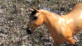 Breyer horse movie- Thunderbolt episode 5 part 1