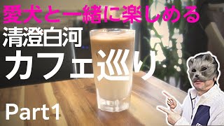 【清澄白河ペットと行けるカフェ巡り】Part1　コーヒーの街・清澄白河でペットと一緒にゆったり楽しめるカフェを紹介します。