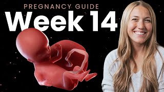 14 Weeks Pregnant | Week By Week Pregnancy