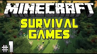 Minecraft survival series part #1