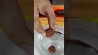 असली रुद्राक्ष पानी में डूबता है कि नहीं ?  Original vs Fake Rudraksha Water Test