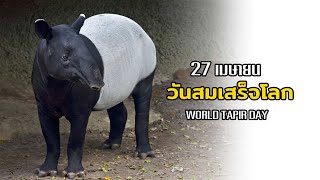 27 เมษา วันสมเสร็จโลก  \