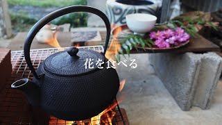 花を食べる【南部鉄器・白湯時間・ASMR】