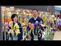 花予報2024年5 20～5 26【虹の花】ジャーマンアイリスの魅力に迫る🌈