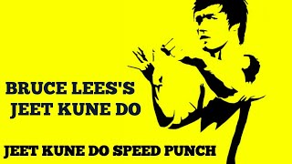 JEET KUNE DO speed punch_wingchun punch_bruce lee