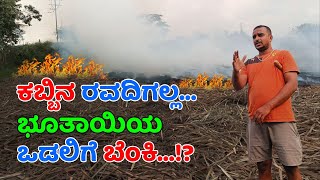 ಕಡಿಮೆ ಖರ್ಚಿನಲ್ಲಿ ಕುಳೆ ಕಬ್ಬಿನ ಇಳುವರಿ ಹೆಚ್ಚಳ | Kadime kharchalli kule kabbina iluvari hechhala #2023