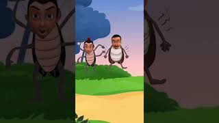 ##Kecoa joget #crockroach dancing#animasi #funny #cartoon #animasihewan