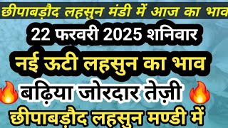 जोरदार तेज़ी 🔥22 फरवरी 2025 छीपाबडौद मंडी का लहसुन का भाव | Aaj Ka Lahsun Ka Bhav |Garlic Rate Today