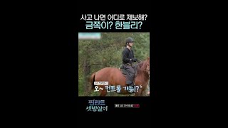 자율주행 말 타게 된 곽동연 ㅋㅋㅋ #핀란드셋방살이