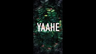 Yaahe | Sam Padinjarekara  | Violin