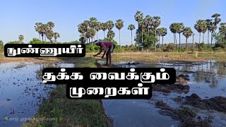 how to retain microorganisms in the soil/  cultivation /மண்ணில் நுண்ணுயிரிகளை எப்படி தக்கவைப்பது