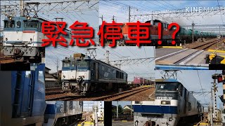 2019,10,20 台風19号の影響でネタ化する貨物列車たち 緊急停車寸前あり！！ 桃重単や広島更新車など